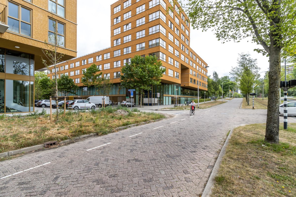 Duke Ellingtonstraat 162