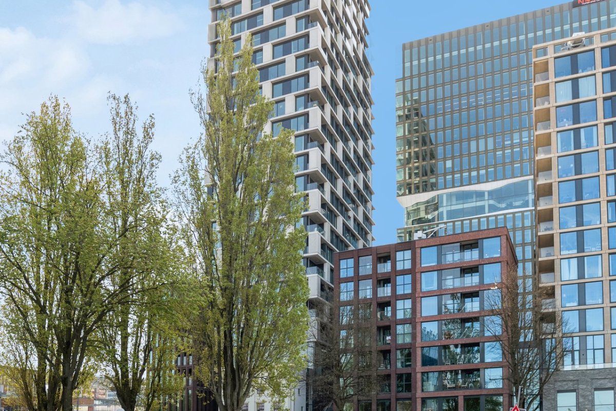 Van Sijpesteijnkade 81