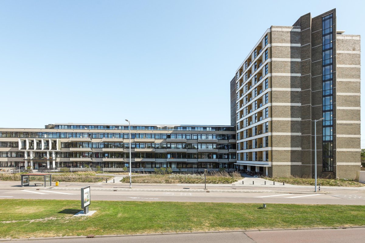 Nijenoord 313