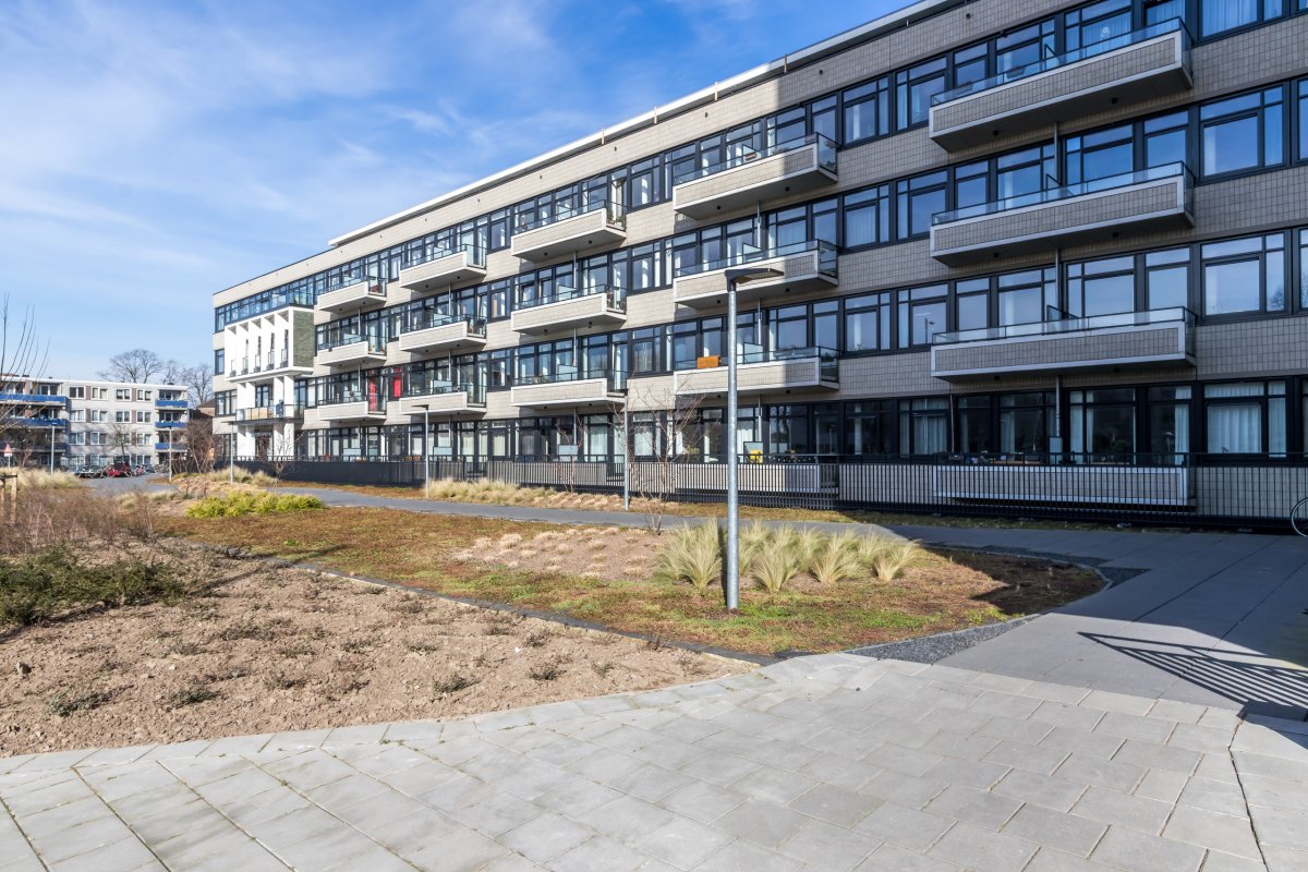 Nijenoord 219