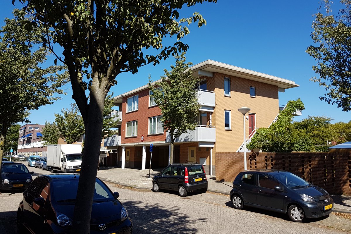 Sint-hubertpad 1