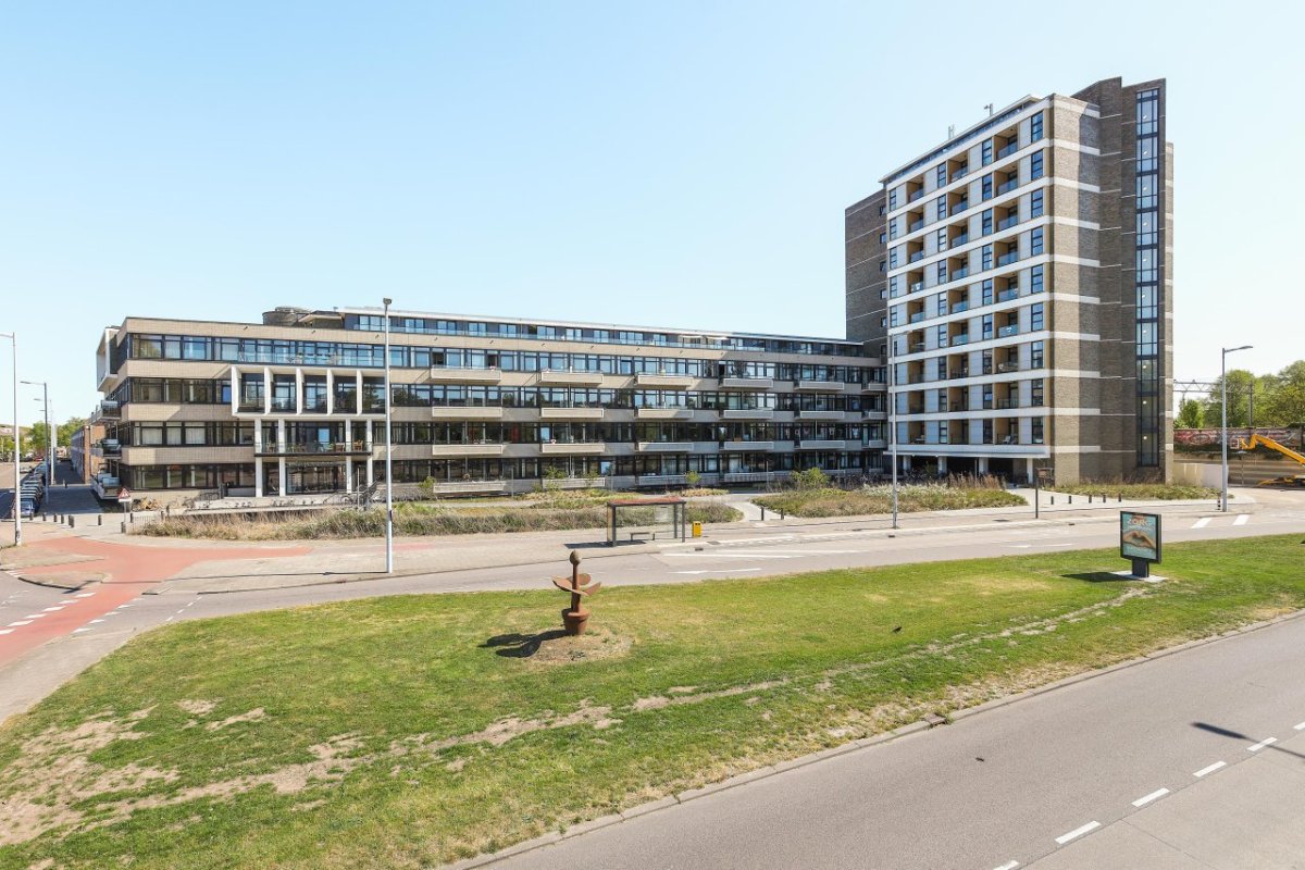 Nijenoord 243
