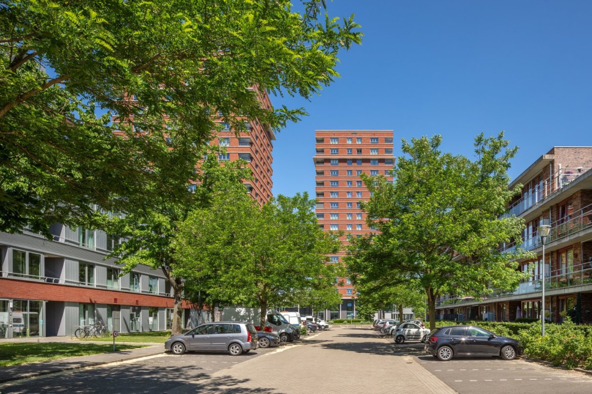 Gagelboschplein 539