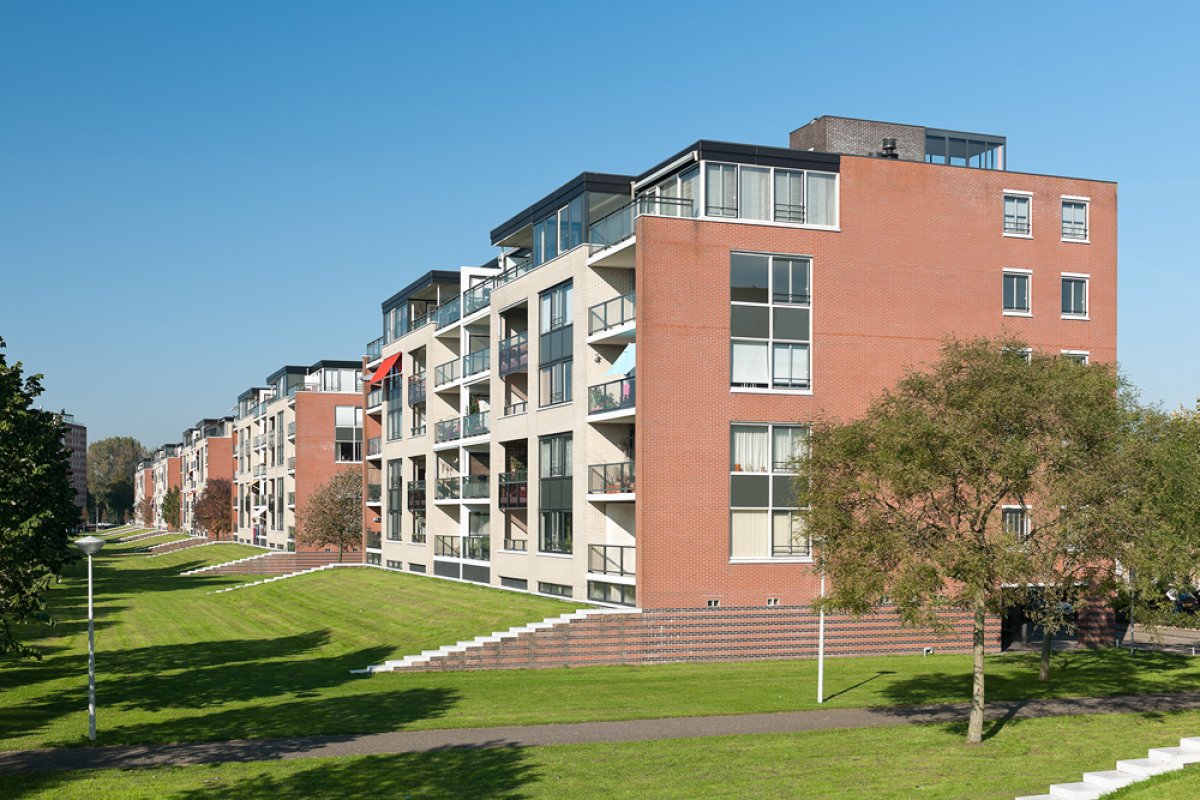 Hamontstraat 224
