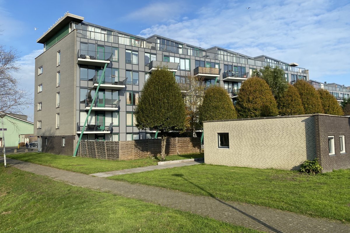 Hamontstraat 410
