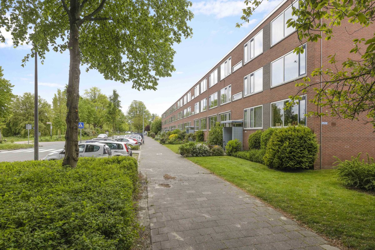 Schaepmanlaan 48