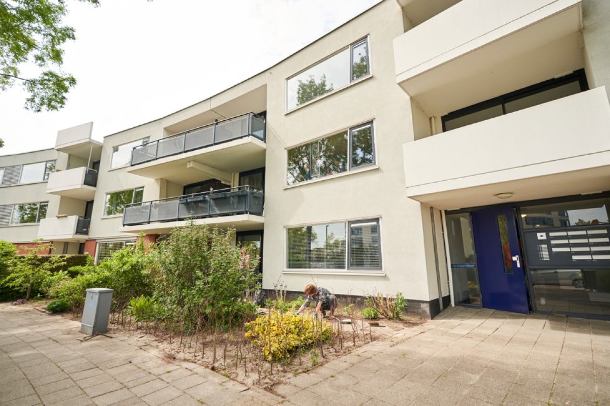 Aartsbisschop Romerostraat 633