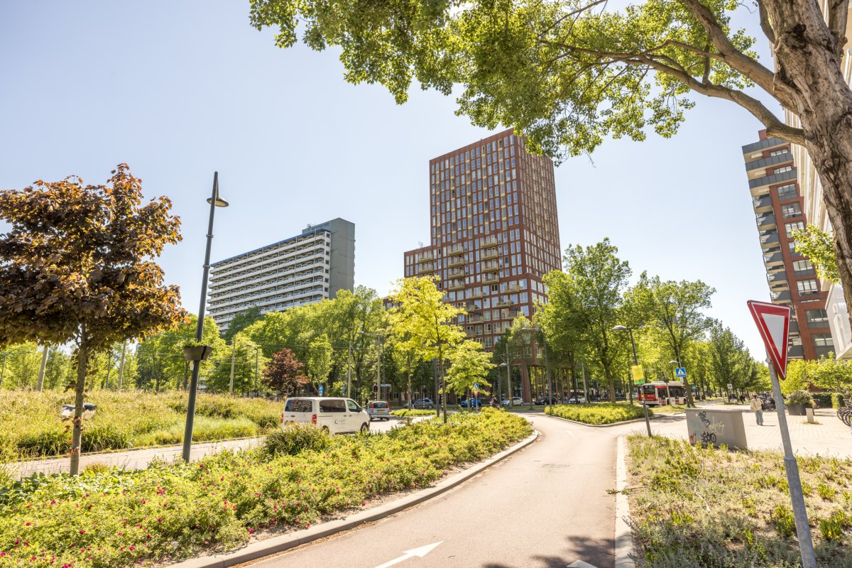 Delflandplein 484