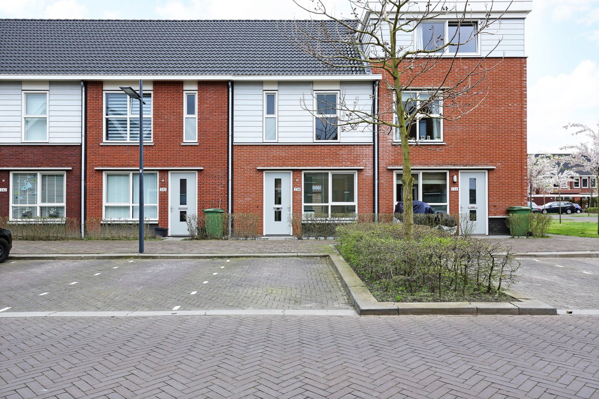 Maasdijk 274