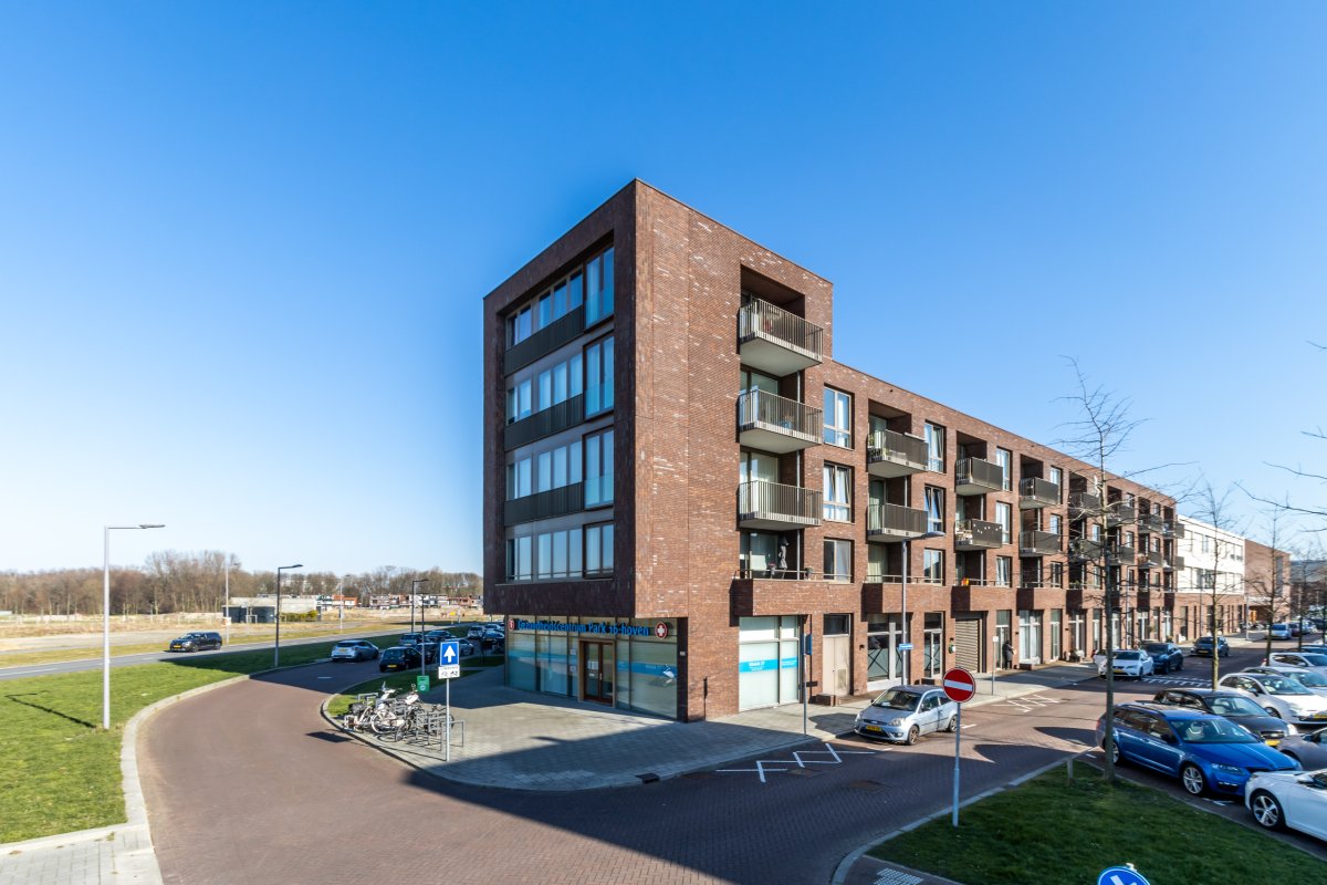 Einthovenpad 11