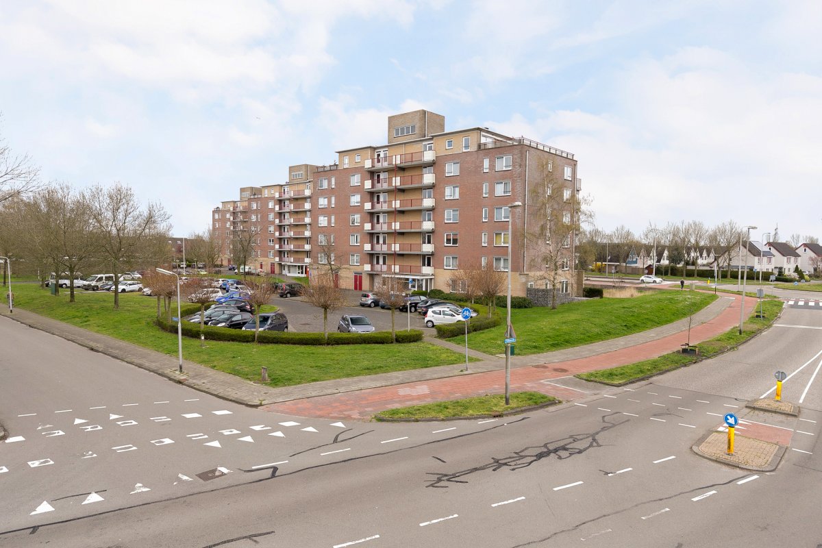 Smeetsmastins 114