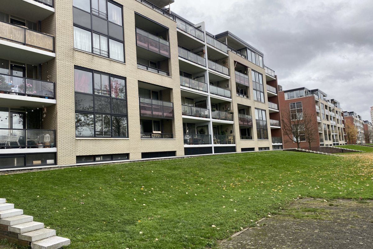 Hamontstraat 206