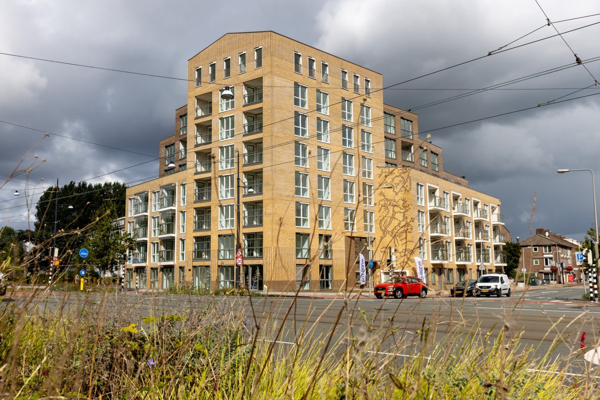 Arent Krijtsstraat 1